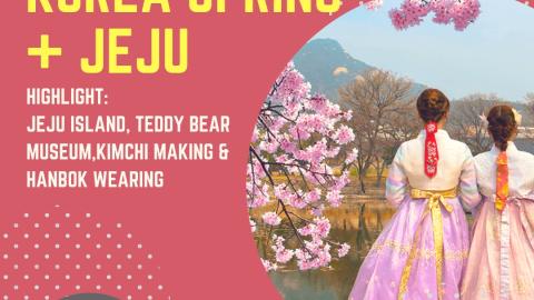 TOUR KOREA MURAH 2025